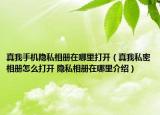 真我手机隐私相册在哪里打开（真我私密相册怎么打开 隐私相册在哪里介绍）
