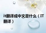 it翻译成中文是什么（IT翻译）