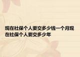 现在社保个人要交多少钱一个月现在社保个人要交多少年