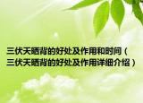 三伏天晒背的好处及作用和时间（三伏天晒背的好处及作用详细介绍）