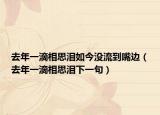 去年一滴相思泪如今没流到嘴边（去年一滴相思泪下一句）