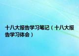 十八大报告学习笔记（十八大报告学习体会）