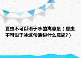 夏虫不可以语于冰的寓意是（夏虫不可语于冰这句话是什么意思?）