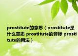 prostitute的意思（prostitute是什么意思 prostitute的音标 prostitute的用法）