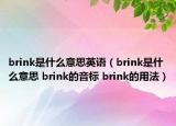 brink是什么意思英语（brink是什么意思 brink的音标 brink的用法）