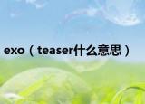 exo（teaser什么意思）