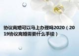 协议离婚可以马上办理吗2020（2019协议离婚需要什么手续）
