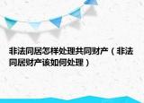 非法同居怎样处理共同财产（非法同居财产该如何处理）