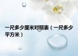 一尺多少厘米对照表（一尺多少平方米）