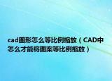 cad图形怎么等比例缩放（CAD中怎么才能将图案等比例缩放）