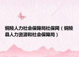 铜陵人力社会保障局社保网（铜陵县人力资源和社会保障局）