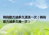 转向助力油多久清洗一次（转向助力油多久换一次）