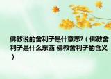 佛教说的舍利子是什意思?（佛教舍利子是什么东西 佛教舍利子的含义）