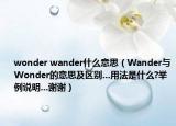 wonder wander什么意思（Wander与Wonder的意思及区别...用法是什么?举例说明...谢谢）