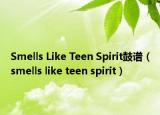 Smells Like Teen Spirit鼓谱（smells like teen spirit）