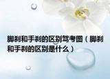 脚刹和手刹的区别驾考图（脚刹和手刹的区别是什么）