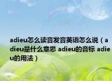adieu怎么读音发音英语怎么说（adieu是什么意思 adieu的音标 adieu的用法）