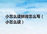 小怎么读拼音怎么写（小怎么读）