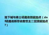 地下城与勇士诱魔者技能加点（dnf诱魔者断罪者救世主二觉技能加点?）