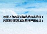 鸡蛋上有鸡屎能清洗后放冰箱吗（鸡蛋有鸡屎能放冰箱吗详细介绍）