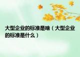 大型企业的标准是啥（大型企业的标准是什么）