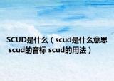 SCUD是什么（scud是什么意思 scud的音标 scud的用法）