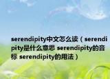 serendipity中文怎么读（serendipity是什么意思 serendipity的音标 serendipity的用法）