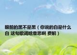 眼前的黑不是黑（你说的白是什么白 这句歌词啥意思啊 费解）