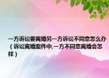 一方诉讼要离婚另一方诉讼不同意怎么办（诉讼离婚案件中,一方不同意离婚会怎样）