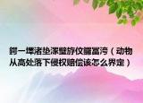 鍔ㄧ墿渚垫潈璧斿伩鑼冨洿（动物从高处落下侵权赔偿该怎么界定）