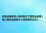 劳动法规定用人单位拖欠工资怎么处理（用人单位无故拖欠工资应该怎么办）