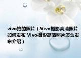 vivo拍的照片（Vivo摄影高清照片如何发布 Vivo摄影高清照片怎么发布介绍）