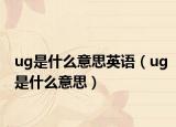 ug是什么意思英语（ug是什么意思）
