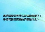 吊销驾驶证有什么办法能恢复了（吊销驾驶证恢复的步骤是什么）