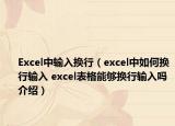 Excel中输入换行（excel中如何换行输入 excel表格能够换行输入吗介绍）