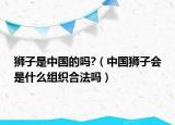 狮子是中国的吗?（中国狮子会是什么组织合法吗）