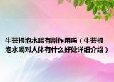 牛蒡根泡水喝有副作用吗（牛蒡根泡水喝对人体有什么好处详细介绍）