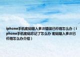 iphone手机密码输入多次错误已停用怎么办（iphone手机密码忘记了怎么办 密码输入多次已停用怎么办介绍）