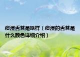 痰湿舌苔是啥样（痰湿的舌苔是什么颜色详细介绍）