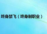 终身禁飞（终身制职业）