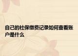 自己的社保缴费记录如何查看账户是什么
