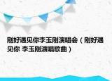 刚好遇见你李玉刚演唱会（刚好遇见你 李玉刚演唱歌曲）