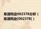 章源钨业002378分析（章源钨业[002378]）