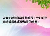 word文档自动多级编号（word中自动编号和多级编号的使用）