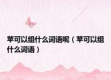 苹可以组什么词语呢（苹可以组什么词语）