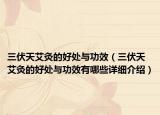 三伏天艾灸的好处与功效（三伏天艾灸的好处与功效有哪些详细介绍）