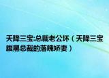 天降三宝:总裁老公坏（天降三宝腹黑总裁的落魄娇妻）