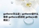 gatherer怎么读（gatherer是什么意思 gatherer的音标 gatherer的用法）