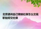 北京通州自己缴纳社保怎么交离职如何交社保