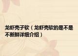 龙虾壳子软（龙虾壳软的是不是不新鲜详细介绍）